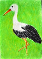 Majerová Marianna.jpg